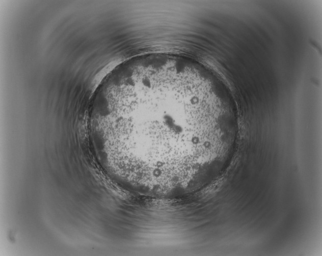 X0000100760875200807101725