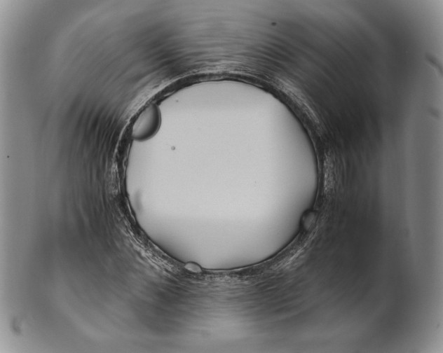 X0000100760876200807101725