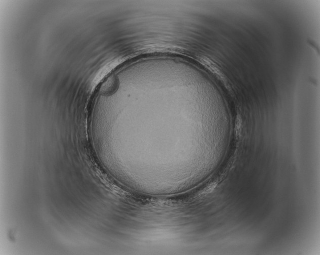 X0000100760877200807101725