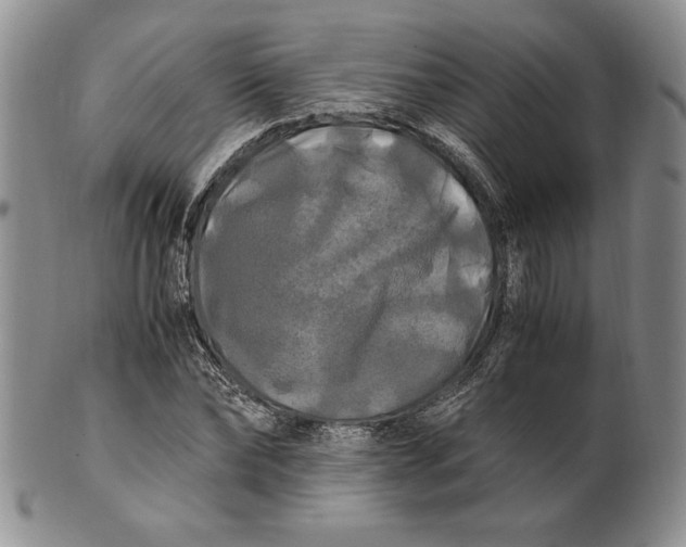 X0000100760878200807101725