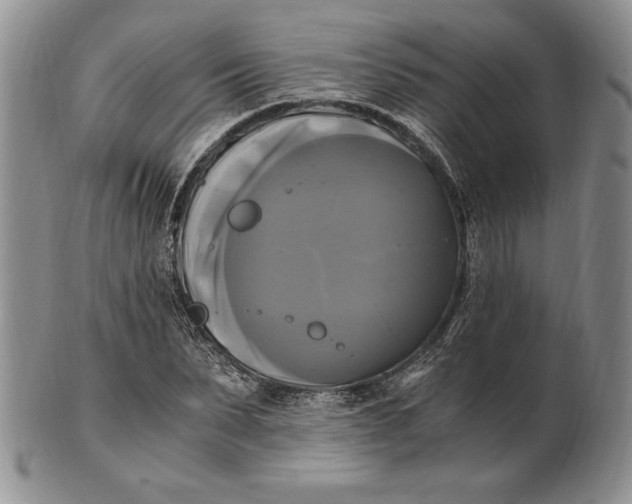 X0000100760879200807101725