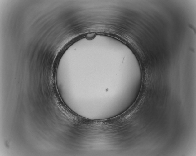 X0000100760880200807101725