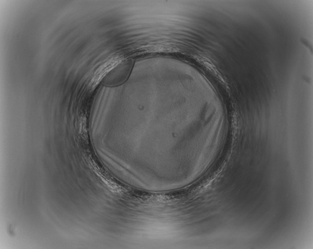 X0000100760881200807101725