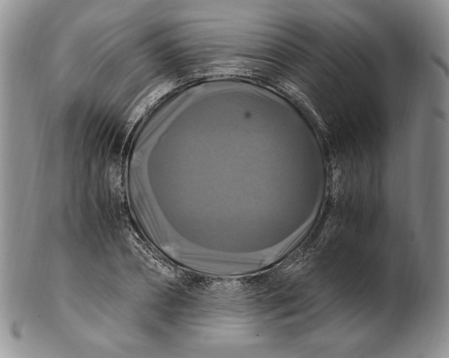 X0000100760882200807101725