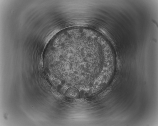 X0000100760883200807101725