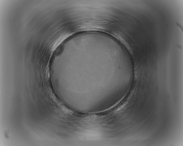 X0000100760885200807101725