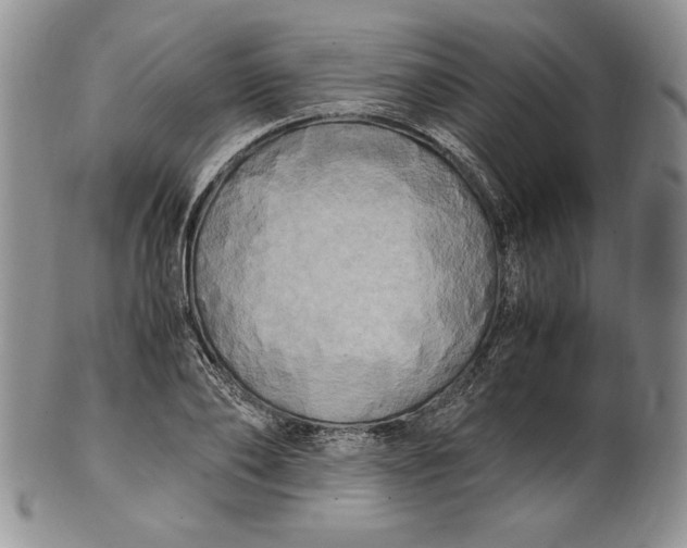 X0000100760886200807101725