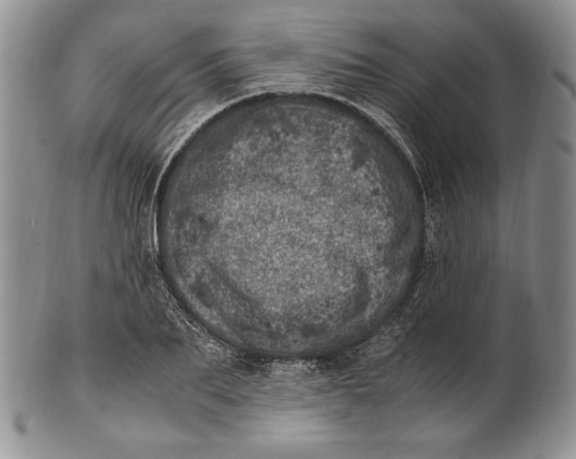 X0000100760887200807101725