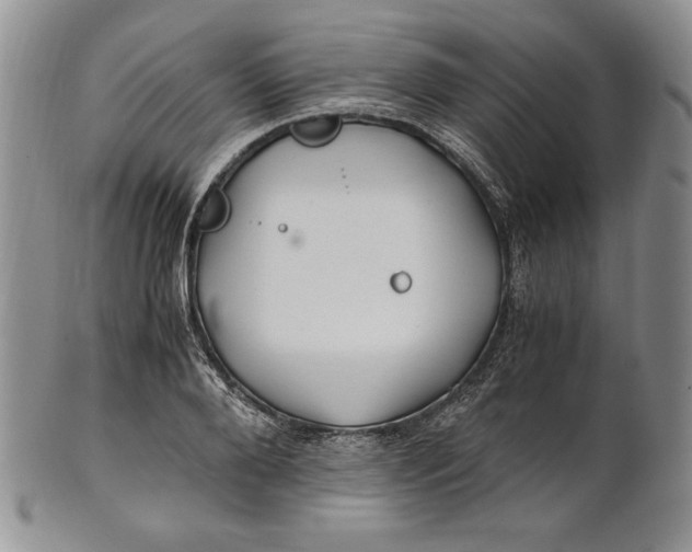 X0000100760888200807101725