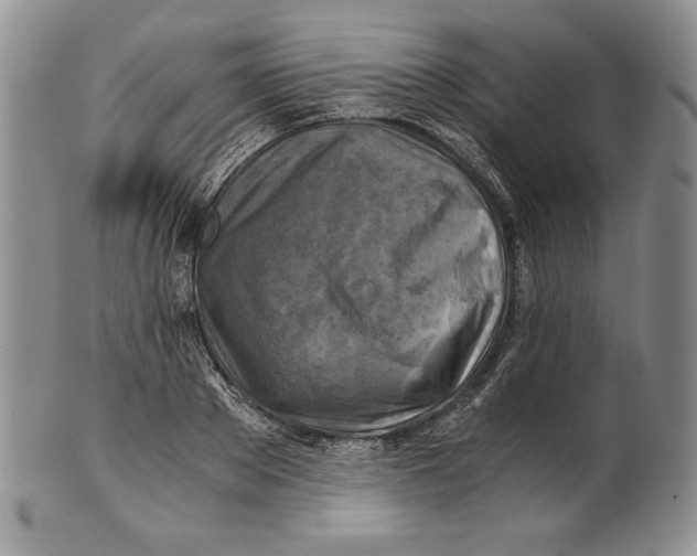 X0000100760889200807101725