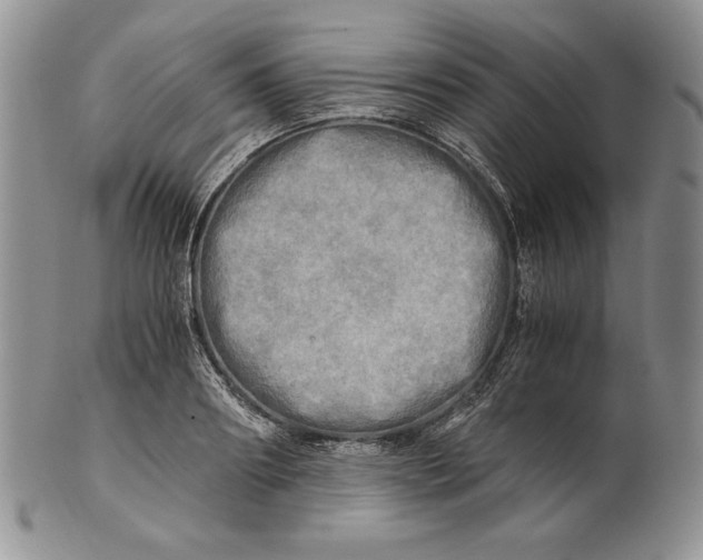 X0000100760890200807101725