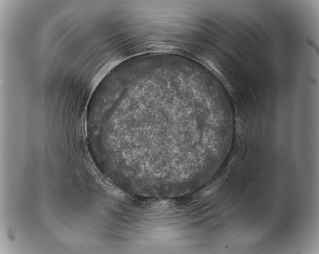 X0000100760891200807101725