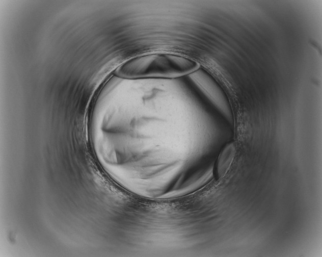 X0000100760892200807101725