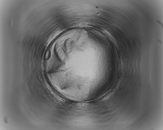 X0000100760893200807101725