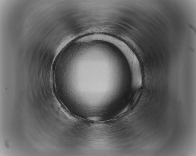 X0000100760894200807101725