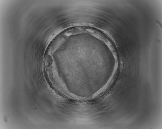 X0000100760895200807101725