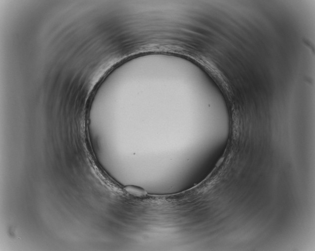 X0000100760896200807101725