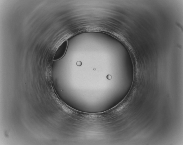 X0000100760897200807101724