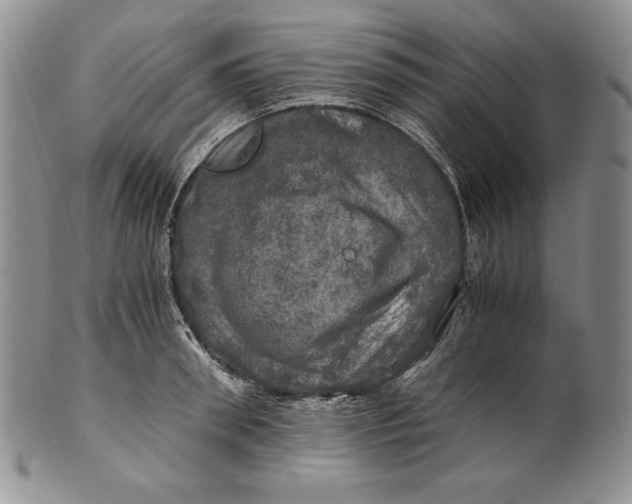 X0000100760898200807101724