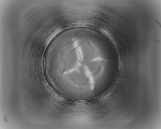 X0000100760899200807101724