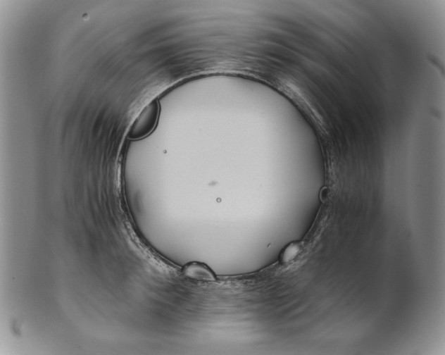 X0000100760900200807101724