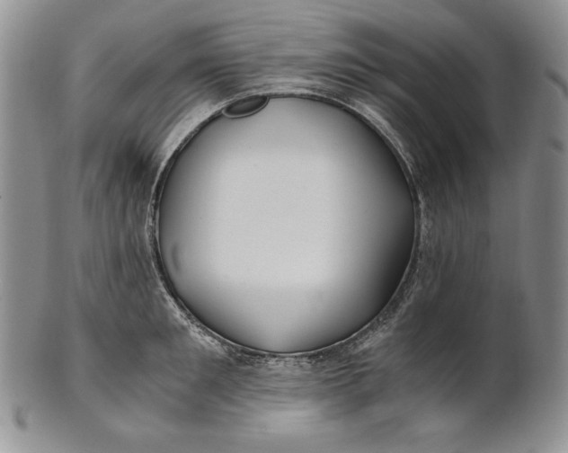 X0000100760901200807101724