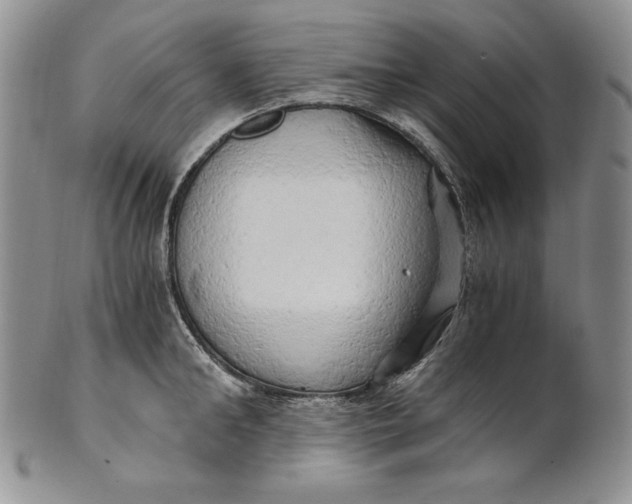 X0000100760902200807101724