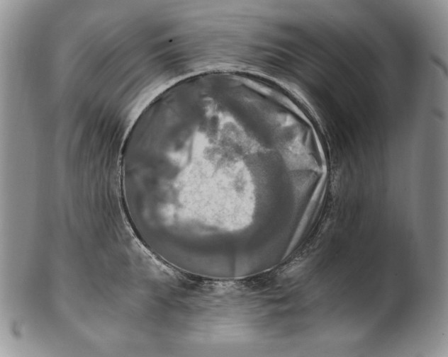 X0000100760903200807101724