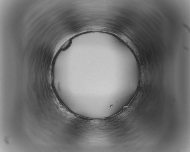 X0000100760904200807101724