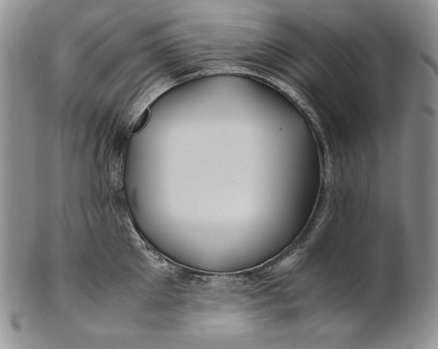 X0000100760905200807101724