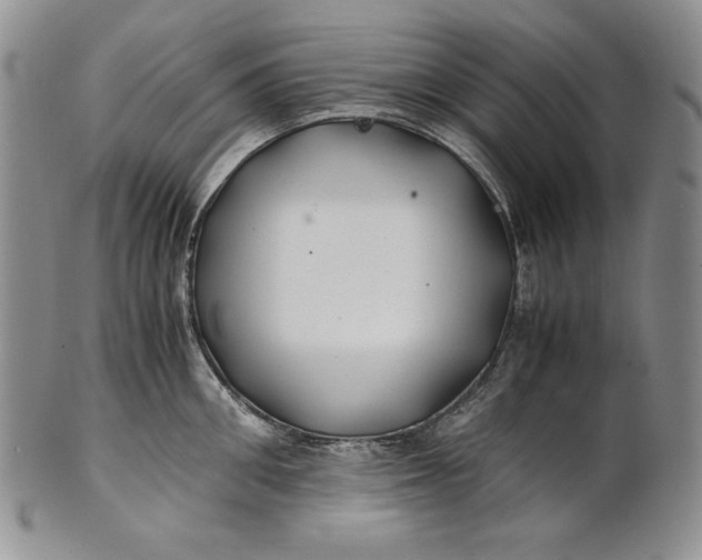 X0000100760906200807101724