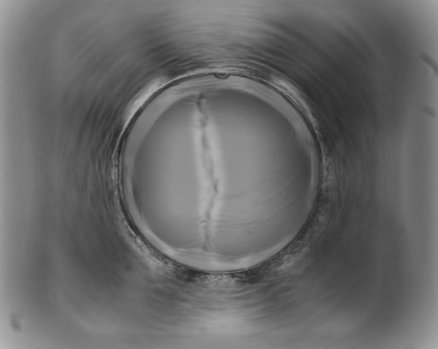 X0000100760907200807101724