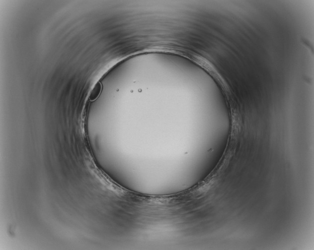 X0000100760908200807101724