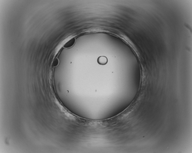 X0000100760909200807101724