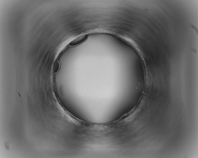 X0000100760910200807101724