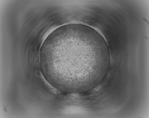 X0000100760911200807101724