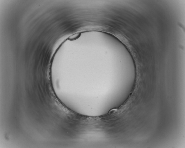 X0000100760912200807101724