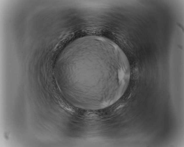 X0000100760913200807101724