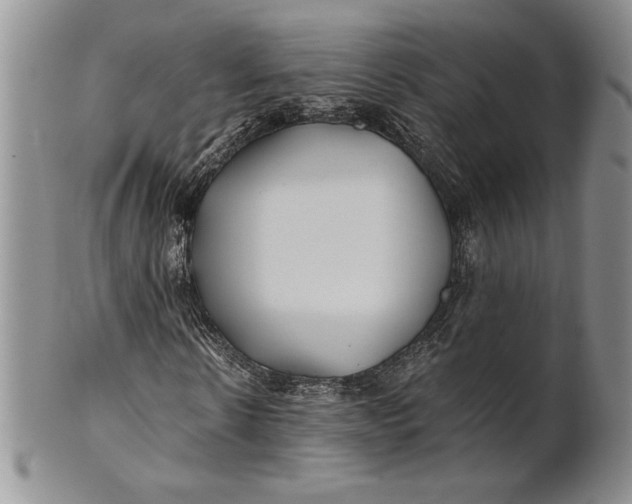 X0000100760914200807101724