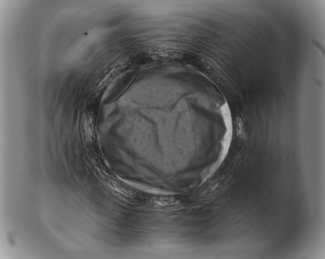 X0000100760915200807101724