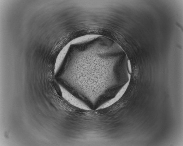 X0000100760916200807101724