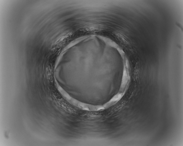 X0000100760917200807101724