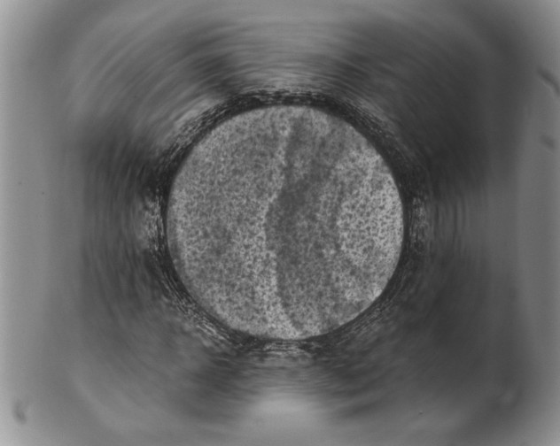 X0000100760918200807101724