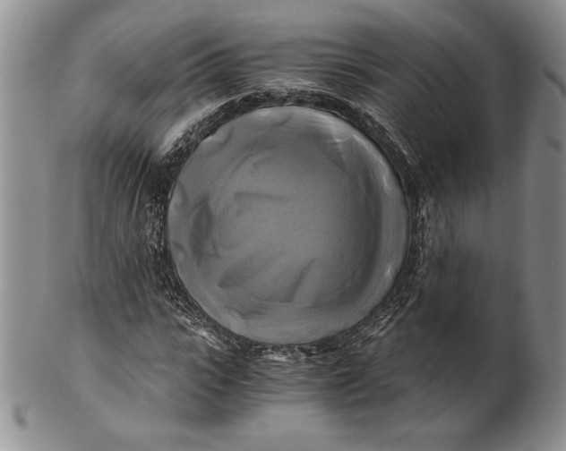 X0000100760919200807101724