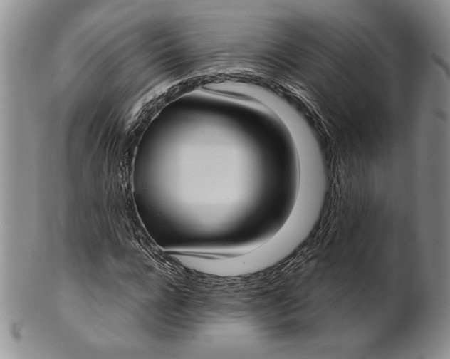 X0000100760920200807101724