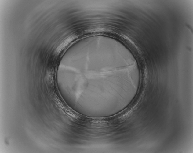 X0000100760921200807101724