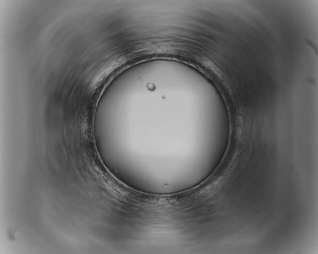 X0000100760922200807101724