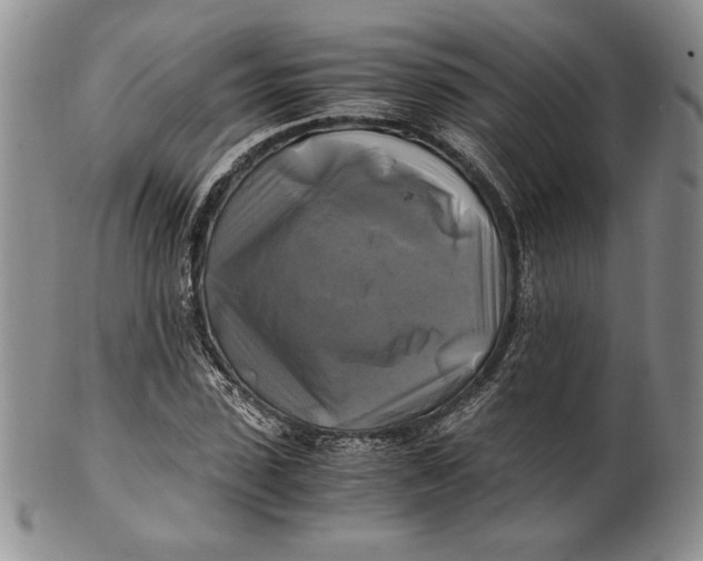 X0000100760923200807101724