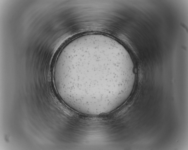 X0000100760924200807101724