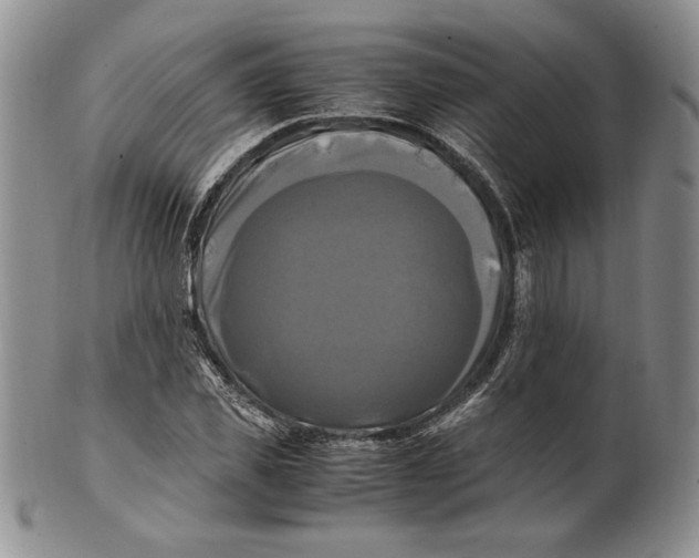 X0000100760925200807101724